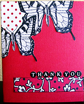 Image by Rebecca Bose