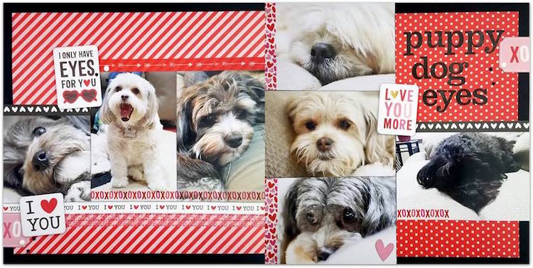 Image by Cassie Wiscarson