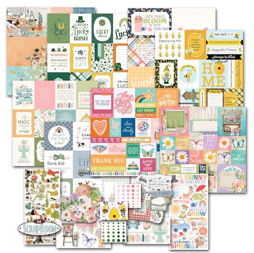 MAR/APR 2025 SHOTS OF LIFE POCKET PAGE KIT:$28.00