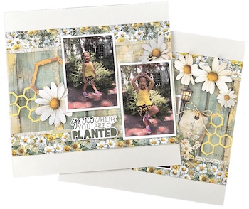 Image by Rochelle Spears