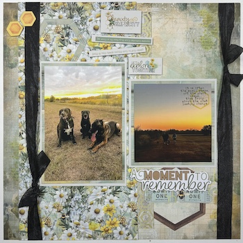 Image by Christine Harden