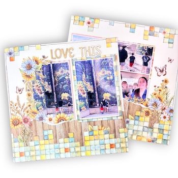 Image by Emiley Steinbruegge