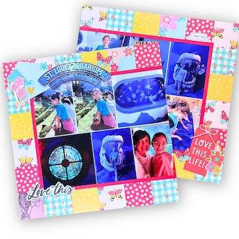 Image by Emiley Steinbruegge